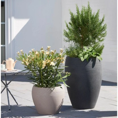 Scheurich Pflanzgefäß Lineo High Ø 39 Cm Schwarz Granit 4 Scheurich Pflanzgefäß Lineo High Ø 39 Cm Schwarz Granit – Bild 2