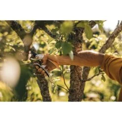 Fiskars Bypass-Gartenschere Plus Power Lever P751 Metall 7 Fiskars Bypass-Gartenschere Plus Power Lever P751 Metall -Pola Pflanz Geschaft 1395417 4905 2