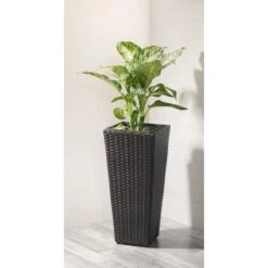 Gartenfreude Pflanzkübel Polyrattan Konisch 28 Cm X 28 Cm Bicolor Braun 6 Gartenfreude Pflanzkübel Polyrattan Konisch 28 Cm X 28 Cm Bicolor Braun -Pola Pflanz Geschaft 159773 4655 pt02