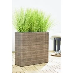 Gartenfreude Raumteiler Pflanzkübel Polyrattan 76 Cm X 26 Cm Cappuccino -Pola Pflanz Geschaft 160199 4655 pt 01