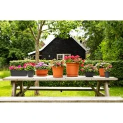 Ebertsankey Pflanzentopf Original Ø 53 Cm Terracotta -Pola Pflanz Geschaft 2284214 4667 1
