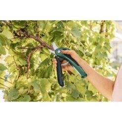 Bosch Akku-Gartenschere EasyPrune -Pola Pflanz Geschaft 2610319 3058 05