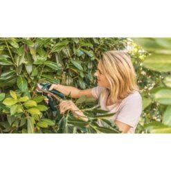 Bosch Akku-Gartenschere EasyPrune -Pola Pflanz Geschaft 2610319 3058 06