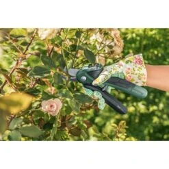 Bosch Akku-Gartenschere EasyPrune -Pola Pflanz Geschaft 2610319 3058 07