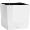 Lechuza Pflanzgefäß Cube Premium 30 Cm X 30 Cm Weiß Hochglanz 1 Lechuza Pflanzgefäß Cube Premium 30 Cm X 30 Cm Weiß Hochglanz -Pola Pflanz Geschaft 261547 4186 1