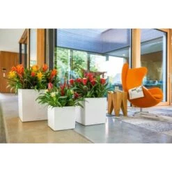 Lechuza Pflanzgefäß Cube Premium 30 Cm X 30 Cm Weiß Hochglanz 10 Lechuza Pflanzgefäß Cube Premium 30 Cm X 30 Cm Weiß Hochglanz -Pola Pflanz Geschaft 261547 4186 4