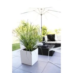Lechuza Pflanzgefäß Cube Premium 30 Cm X 30 Cm Weiß Hochglanz 11 Lechuza Pflanzgefäß Cube Premium 30 Cm X 30 Cm Weiß Hochglanz -Pola Pflanz Geschaft 261547 4186 5