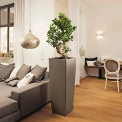 Lechuza Pflanzgefäß Cubico Alto Premium 40 Cm X 40 Cm Taupe Hochglanz -Pola Pflanz Geschaft 261659 4186 3