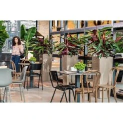 Lechuza Pflanzgefäß Cubico Alto Premium 40 Cm X 40 Cm Taupe Hochglanz -Pola Pflanz Geschaft 261659 4186 5