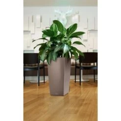 Lechuza Pflanzgefäß Cubico Premium 22 Cm X 22 Cm Espresso Metallic 8 Lechuza Pflanzgefäß Cubico Premium 22 Cm X 22 Cm Espresso Metallic -Pola Pflanz Geschaft 261694 4186 3