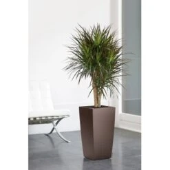 Lechuza Pflanzgefäß Cubico Premium 22 Cm X 22 Cm Espresso Metallic 9 Lechuza Pflanzgefäß Cubico Premium 22 Cm X 22 Cm Espresso Metallic -Pola Pflanz Geschaft 261694 4186 4