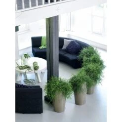 Lechuza Pflanzgefäß Rondo Premium Ø 33 Cm X 56 Cm Taupe Hochglanz -Pola Pflanz Geschaft 261960 4186 5