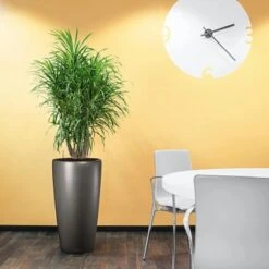 Lechuza Pflanzgefäß Rondo Premium Ø 40 Cm X 75 Cm Anthrazit Metallic -Pola Pflanz Geschaft 261963 4186 4