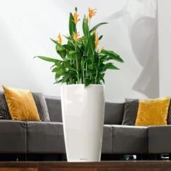 Lechuza Pflanzgefäß Rondo Premium Ø 40 Cm X 75 Cm Weiß Hochglanz -Pola Pflanz Geschaft 262013 4186 3