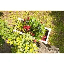 KHW Pflanzkasten Rechteckig Weiß 14 KHW Pflanzkasten Rechteckig Weiß -Pola Pflanz Geschaft 2749489 4164 6