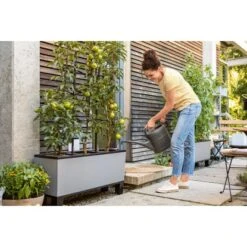 Lechuza Pflanzgefäß Trio Stone 40 Steingrau 130 Cm X 42 Cm -Pola Pflanz Geschaft 4008789150554 4186 3