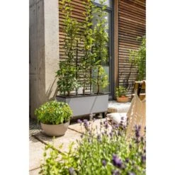 Lechuza Pflanzgefäß Trio Stone 40 Steingrau 130 Cm X 42 Cm -Pola Pflanz Geschaft 4008789150554 4186 4