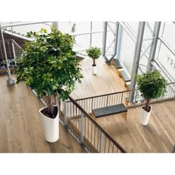 Lechuza Pflanzgefäß Delta Premium Ø 30 Cm X 56 Cm Weiß Hochglanz -Pola Pflanz Geschaft 4008789155009 4186 8