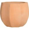 Pflanzgefäß 19 Cm X 24 Cm X 24 Cm Terrakotta -Pola Pflanz Geschaft 4048121294775 10
