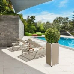 Amare Blumentopf Pur Fiberglas Design 33 Cm X 33 Cm X 76 Cm Beige -Pola Pflanz Geschaft 4251083908394 4655 9