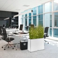 Amare Blumentopf Pur Fiberglas Design 28 Cm X 80 Cm X 61 Cm Weiß -Pola Pflanz Geschaft 4251083908455 4655 8