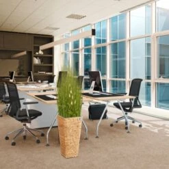 Gartenfreude Blumentopf Wasserhyazinthe 28 X 28 X 60 Cm Natur Kunststoffeinsatz -Pola Pflanz Geschaft 4251083910410 4655 5