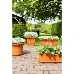 Florus Pflanzentopf Mediterran Quadro 45 Cm Terracotta -Pola Pflanz Geschaft 5220017 4667 3