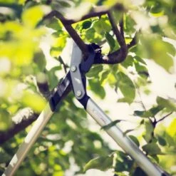 Fiskars Bypass-Getriebeastschere PowerGearX LX94-M -Pola Pflanz Geschaft 6088561 A04