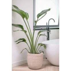 Capi Übertopf "Kugel Waste Rib NL" Terrazzo Beige 43 X 41 Cm -Pola Pflanz Geschaft 674996 4091 03