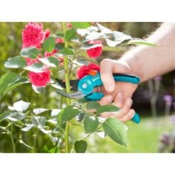 Gardena Gartenschere B/S-M 22 Mm Schnittdurchmesser -Pola Pflanz Geschaft 6926786 AB02