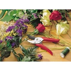 Wolf-Garten Gartenschere 2-Schneidig RR-EN -Pola Pflanz Geschaft 730393 3714 2