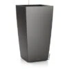 Lechuza Pflanzgefäß Cubico Premium 22 Anthrazit Metallic 22 Cm X 22 Cm -Pola Pflanz Geschaft 754166 4186 1