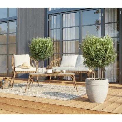 Olivenbaum XXL Multistämmig Ca. 140 Cm - 160 Cm Olea Europaea GROW By OBI 4 Olivenbaum XXL Multistämmig Ca. 140 Cm - 160 Cm Olea Europaea GROW By OBI – Bild 2