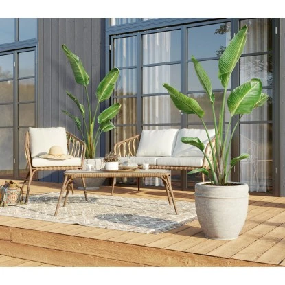 Baumstrelitzie XXL Ca. 140 Cm - 160 Cm Strelitzia Augusta GROW By OBI 4 Baumstrelitzie XXL Ca. 140 Cm - 160 Cm Strelitzia Augusta GROW By OBI – Bild 2