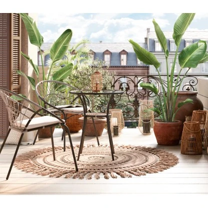 Baumstrelitzie XXL Ca. 140 Cm - 160 Cm Strelitzia Augusta GROW By OBI 6 Baumstrelitzie XXL Ca. 140 Cm - 160 Cm Strelitzia Augusta GROW By OBI – Bild 4