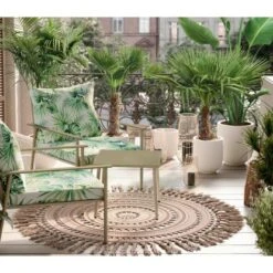 Hanfpalme XXL Ca. 140 Cm - 160 Cm Trachycarpus Fortunei GROW By OBI -Pola Pflanz Geschaft 7571326 AB02 070222