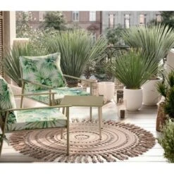 Blaublättrige Palmlilie XXL Ca. 80-100cm Topf-Ø 50cm Yucca Rostrata GROW By OBI -Pola Pflanz Geschaft 7571367 AB02 070222