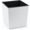 Orbis Pflanzgefäß Juka Eco Dluto 300 X 300 X 300 Mm Weiß Strukturiert 2 Orbis Pflanzgefäß Juka Eco Dluto 300 X 300 X 300 Mm Weiß Strukturiert -Pola Pflanz Geschaft 763561 11005200 1