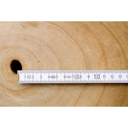 Blu CO2-Klimabaum Topf-Ø Ca. 15 Cm Paulownia Fortunei 7 Blu CO2-Klimabaum Topf-Ø Ca. 15 Cm Paulownia Fortunei – Bild 5