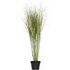 GROW By OBI Garten-Ruten-Hirse "Northwind" Grün Topf Ca. 7 L Panicum -Pola Pflanz Geschaft 859512 3358 1