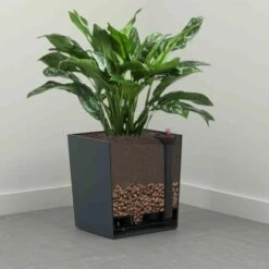 Siena Garden Pflanzgefäß Modern Brest Anthrazit 25x25x26,0 Cm 6 Siena Garden Pflanzgefäß Modern Brest Anthrazit 25x25x26,0 Cm -Pola Pflanz Geschaft 8629628 1346 2