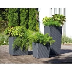 Siena Garden Pflanzgefäß Modern Nizza Graphit 35x35x68,0 Cm -Pola Pflanz Geschaft 8630808 1346 5