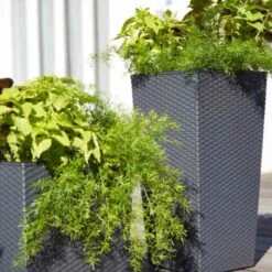 Siena Garden Pflanzgefäß Modern Nizza Graphit 35x35x68,0 Cm -Pola Pflanz Geschaft 8630808 1346 7