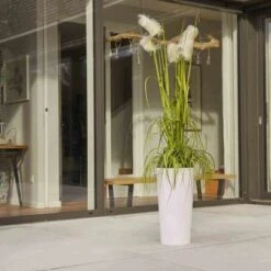 Siena Garden Pflanzgefäß Modern Lille Weiß Ø 30x57,0 Cm -Pola Pflanz Geschaft 8630832 1346 4