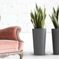 Siena Garden Pflanzgefäß Modern Locon Graphit Ø 25x46,5 Cm -Pola Pflanz Geschaft 8630956 1346 4
