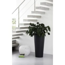 Elho Blumentopf Pure Straight Hoch Ø 38,5 Cm Anthrazit -Pola Pflanz Geschaft 8711904193966 4667 05