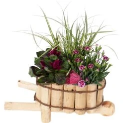 Pflanzenarrangement Im Holzgefäß Höhe Ca. 45 Cm Ø Ca. 21 Cm