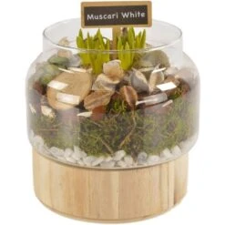 Frühlingsarrangement Mit Traubenhyazinthen Weiß Im Glasgefäß Topf-Ø Ca. 17 Cm