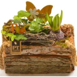 Frühlingsschale Höhe Ca. 20 - 30 Cm Im Holzgefäß