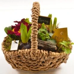 Frühlingsschale Höhe Ca. 25 - 30 Cm Im Henkelkorb